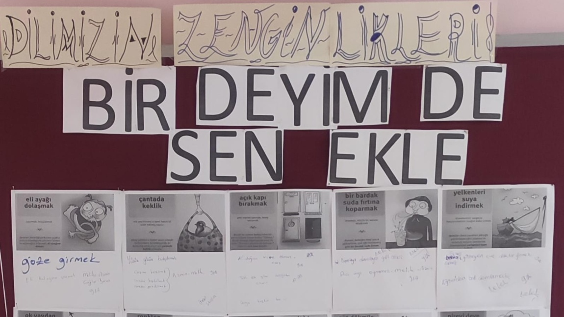 DİLİMİZİN ZENGİNLİKLERİ 